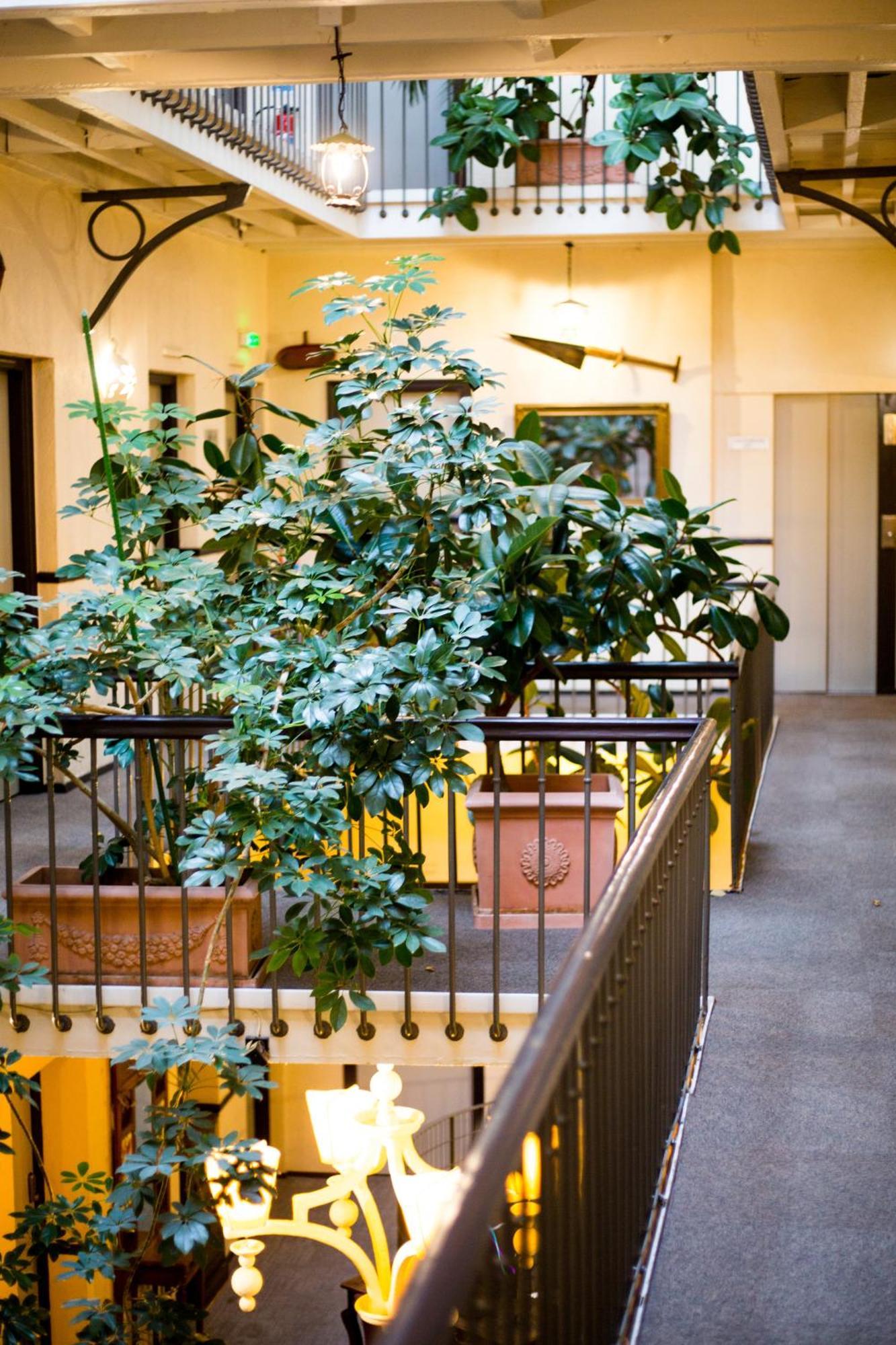 Grand Hotel D'Orleans Toulouse Exterior photo